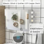Rangement pratique pour salle de bain avec miroir intégré