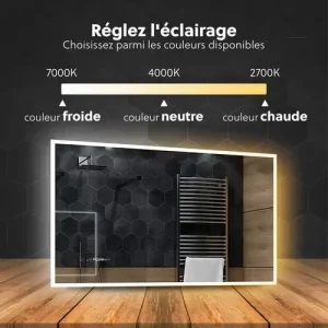 Miroir 140x70 pour décoration intérieure