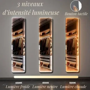 Miroir décoratif grand format, idéal pour un éclairage subtil