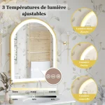 Miroir avec fonction antibuée et éclairage ajustable