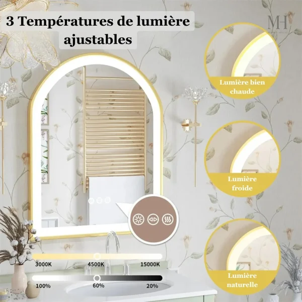 Miroir avec fonction antibuée et éclairage ajustable